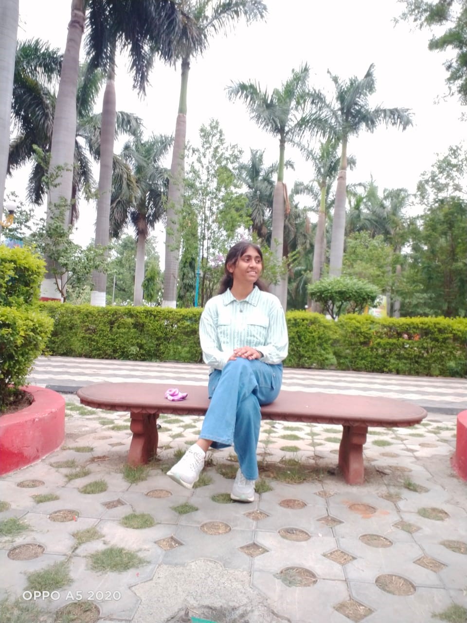 palak's profile picture